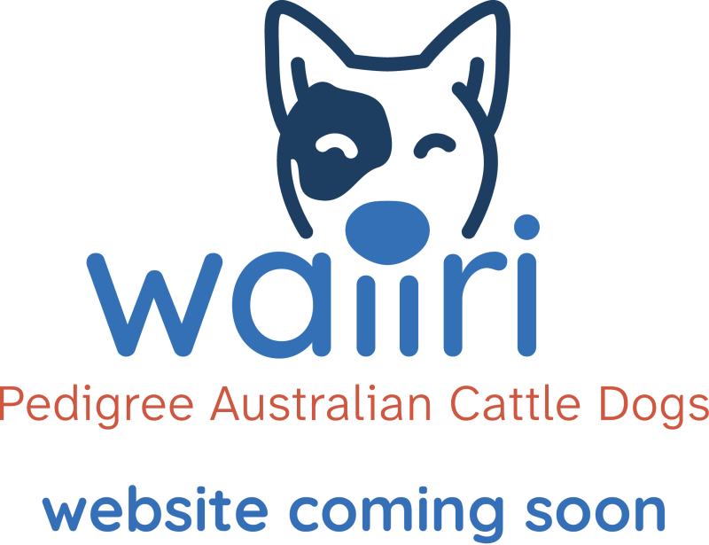 Waiiri